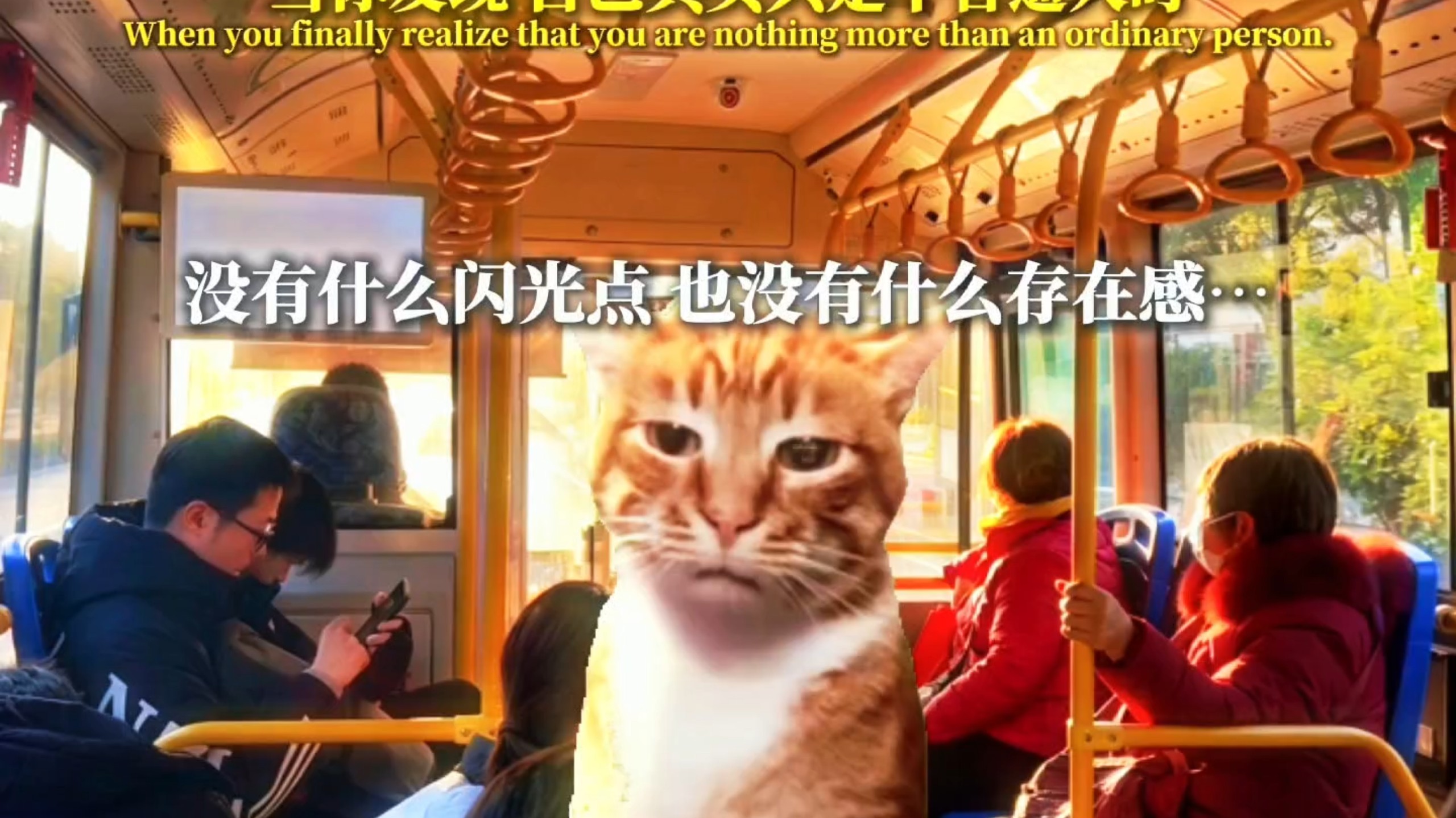 “当你发现 自己其实是个普通人时”