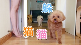 cd1bcba7a71f9adca13951e7e9042882df05f9ce.jpg@280w_158h_1c_100q.jpg