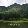 广西玉林最值得去的十大景点