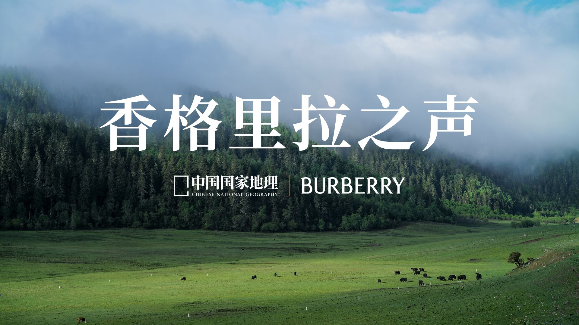 远离喧嚣，聆听山川万物的自然颂歌