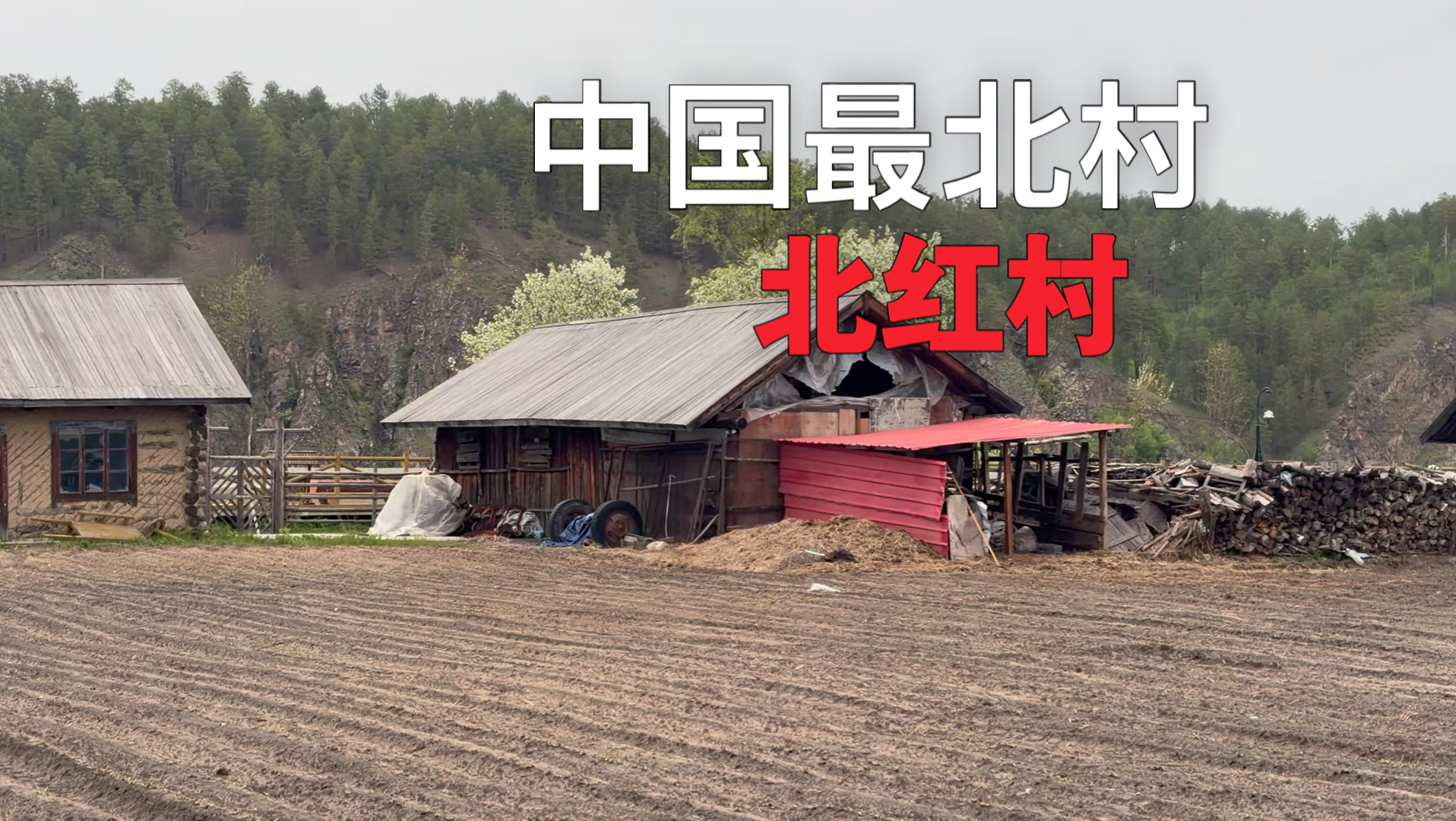 漠河以北 中国北极——北红村；中国最北小村恍如隔世，静谧又美好。中俄界河黑龙江畔 海棠花开绝美！