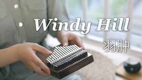 windyhill古筝曲谱_古筝图片卡通(3)