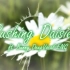 【DeepVocal音源配布】Pushing Daisies【BUNNY DV英语】