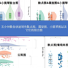 五分钟教你轻松制作散点图，箱型图，小提琴图以及它们的组合图