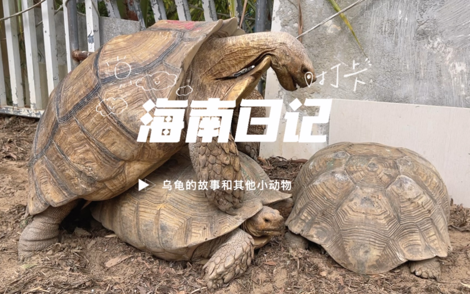 海南日记之陵水乐天归心居