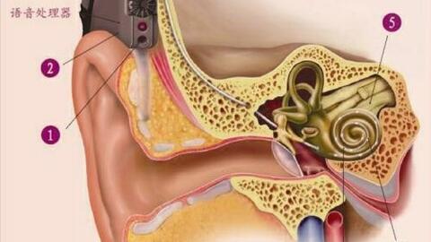 cdabace297bffcd34ded344c668c523ac7f5ea86.jpg@480w_270h_1c