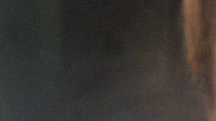 cdb04c0cb5c4a3f9c2b350c16e83604326793b0a.jpg@310w_174h_1c_100q.jpg