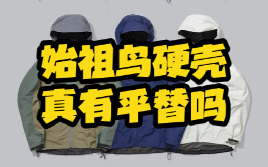 都在说鸟的性能,鸟毛的价格,始祖鸟真的被平替了吗?哔哩哔哩bilibili