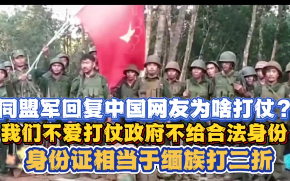 同盟军含泪回复中国网友为啥爱打仗:直言羡慕中国，不懂不要乱说，没有合法身份，身份证相当于缅族打两折