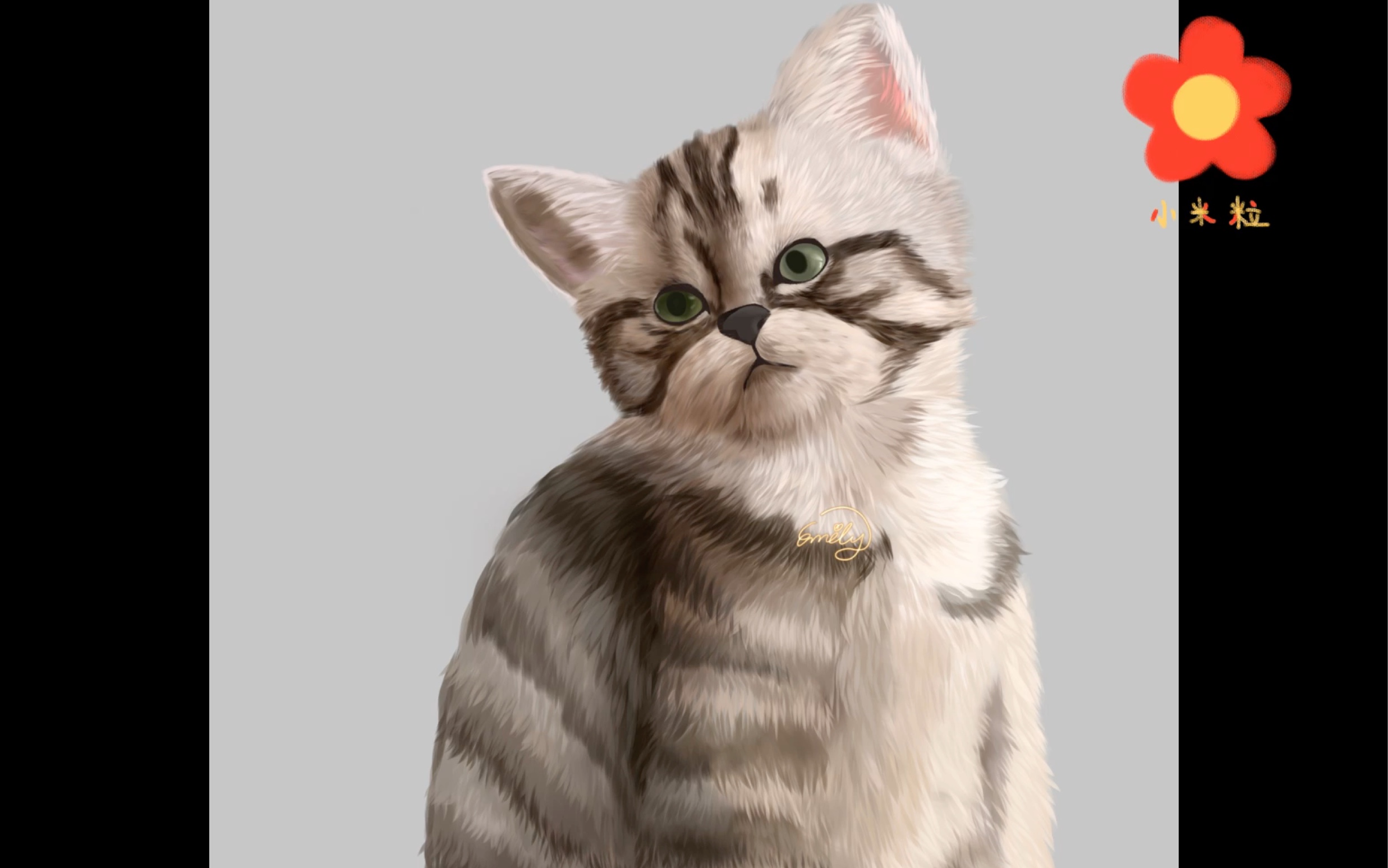 手绘（猫）|插画|创作习作|猫设 - 原创作品 - 站酷 (ZCOOL)