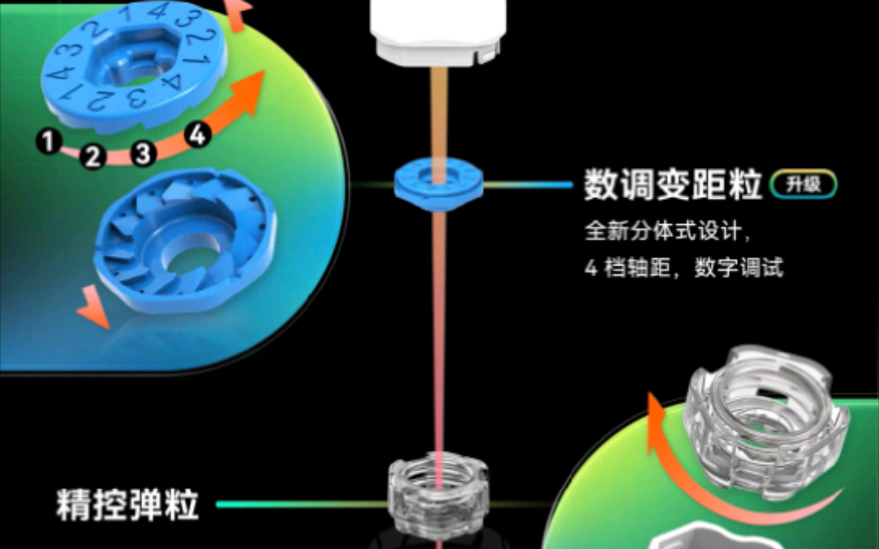 www.bilibili.com