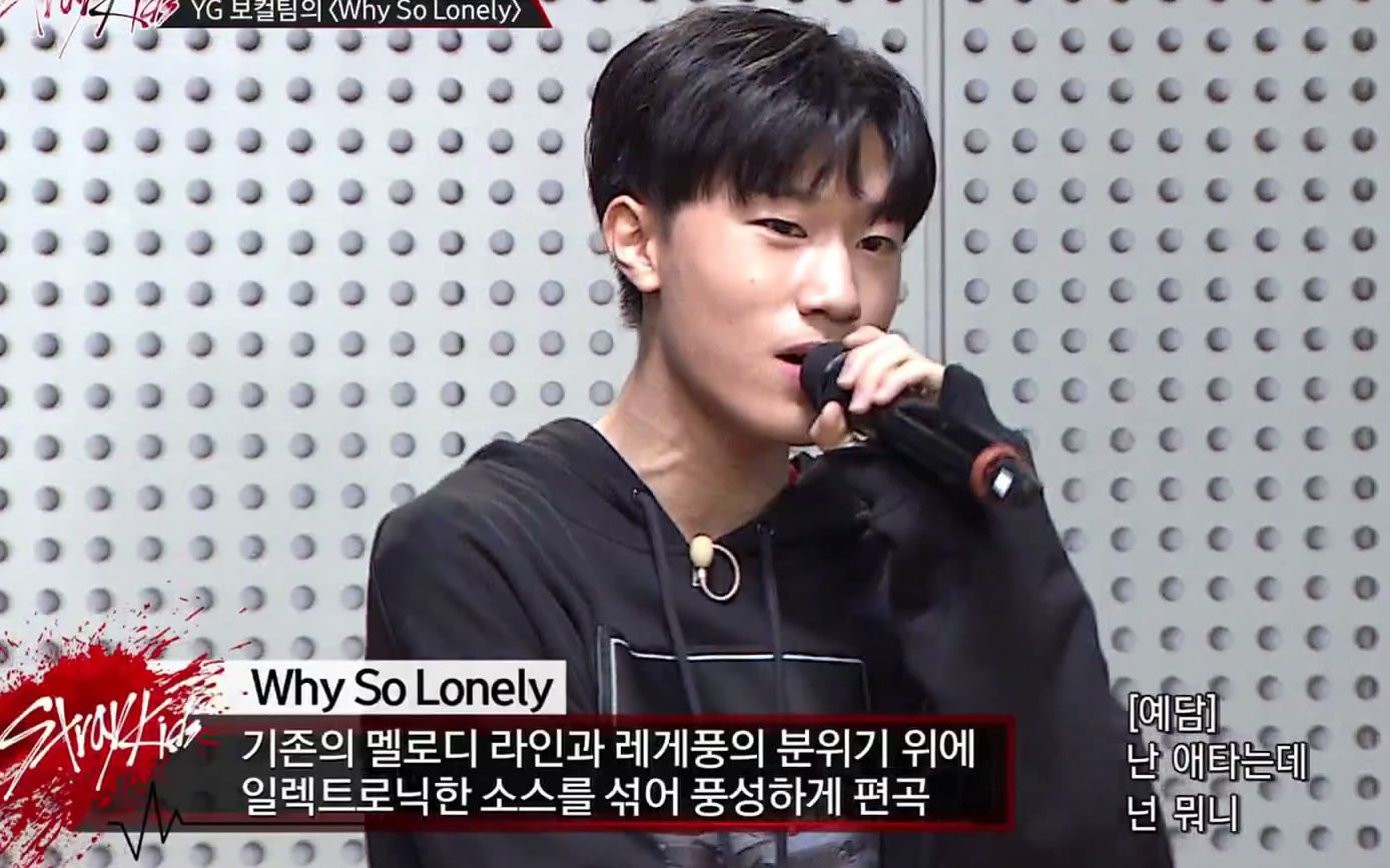 房艺谈】stray kidse7 yg唱歌对决-why so lonely(cover)