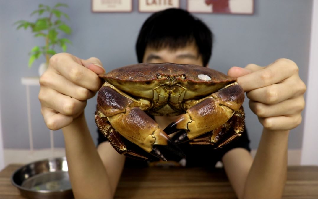 小伙花80买了一只比脸还大的面包蟹，吃蟹黄吃到爽？！