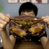 小伙花80买了一只比脸还大的面包蟹，吃蟹黄吃到爽？！
