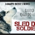 雪橇犬 1080P英语英字 Sled Dogs