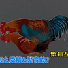 一天交配10~30次，可以让十几只母鸡受孕，鸡的受精繁育过程