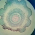 一些显微镜下的植物细胞