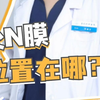 处女膜位置在哪