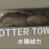【野生纪录片/中文配音】水獺城市 Otter Town