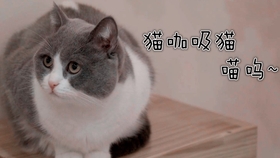 ce8f0346e52d7e16fb82209bb72c9a8768e6e061.jpg@280w_158h_1c_100q.jpg