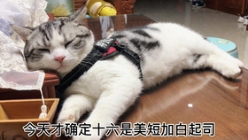 ce9277824a9c3a780a645a8d7106dabd34ae2b83.jpg@280w_158h_1c_100q.jpg