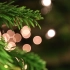 【空镜头】松树光斑圣诞节 素材分享