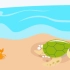 【科学嬉游记】海龟是如何生长和变化的——海龟为什么往海滩爬？