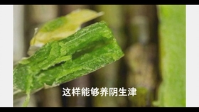 cf12b1b03a92350e998def9038458be00951e3ec.jpg@280w_158h_1c_100q.jpg