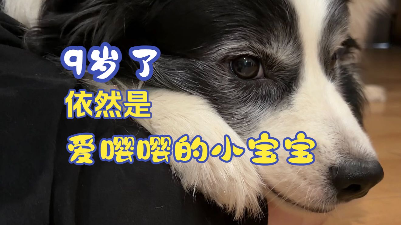 9岁了依然是爱嘤嘤的小宝宝
