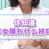 处女膜到底是什么？它长什么样