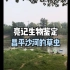 北京昌平沙河的草虫
