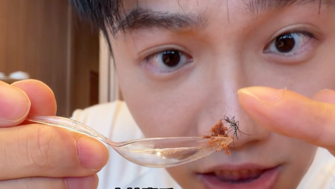 “驯蚊”博主的一天
