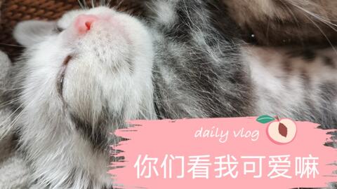 cf79a8a01341be8dc3cc3b3469a03686588ed5b2.jpg@480w_270h_1c