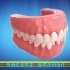 咬合不齐会对牙齿有什么影响？