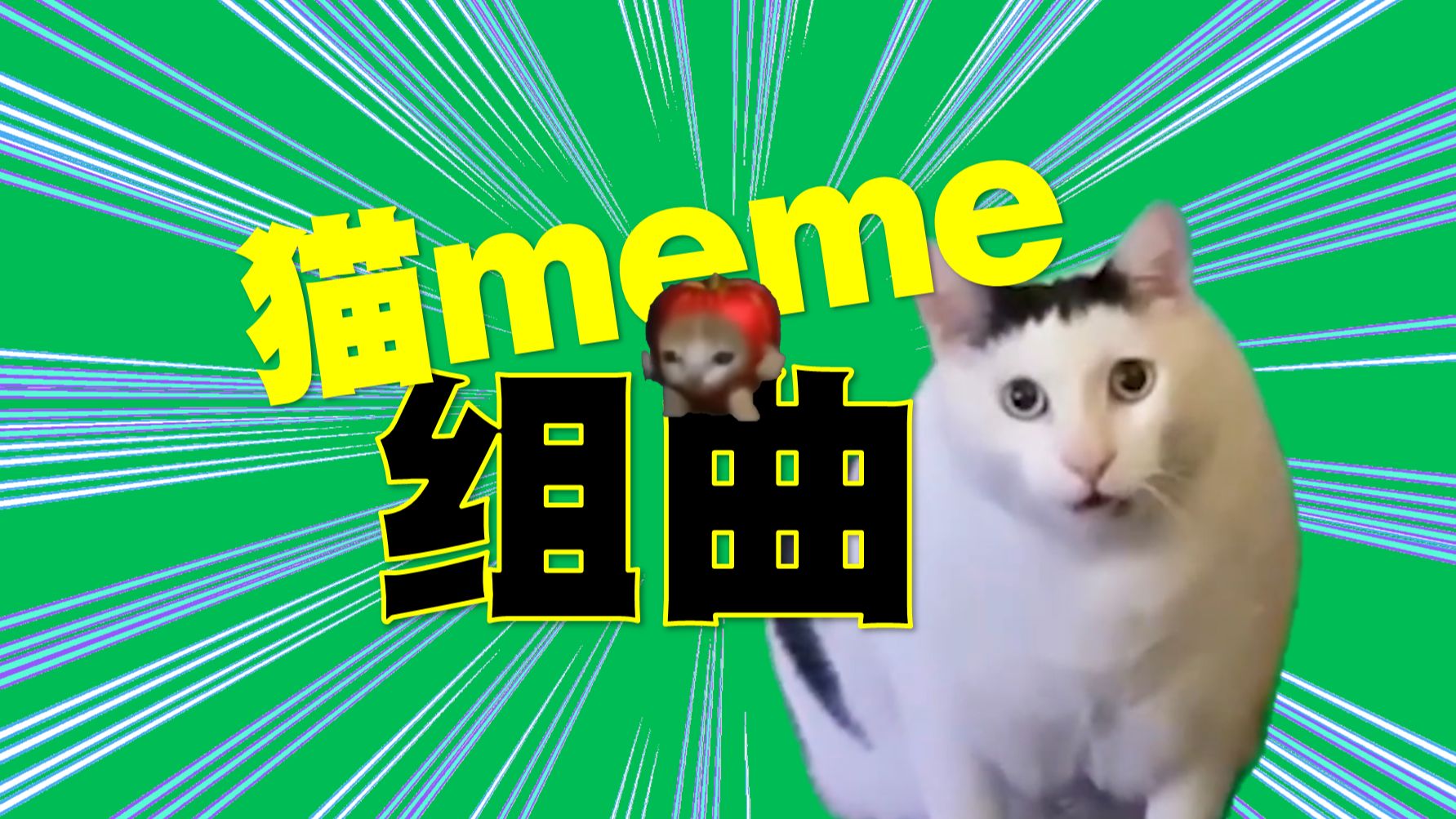 猫meme组曲——一口气听完14首猫meme！