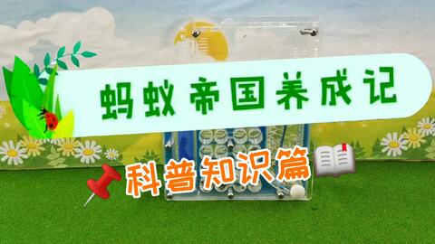 cfbd042dd0dab37546eb50dfbcddefdf267bfb6d.jpg@480w_270h_1c