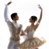 【芭蕾比赛】Alexis Workowski&Josue Gomez 古典大双人舞 UBC2020