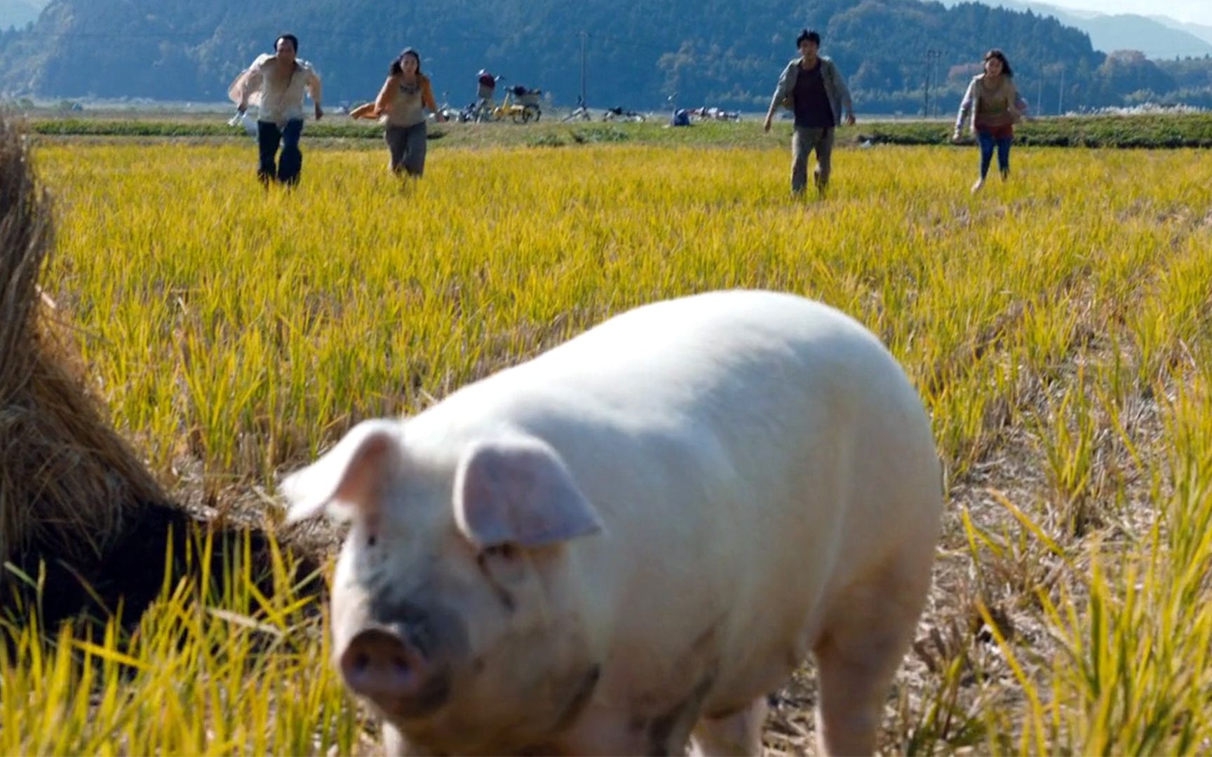 全球停电2年，这想都不敢想的事情，居然被日本人拍出来了！《生存家族》