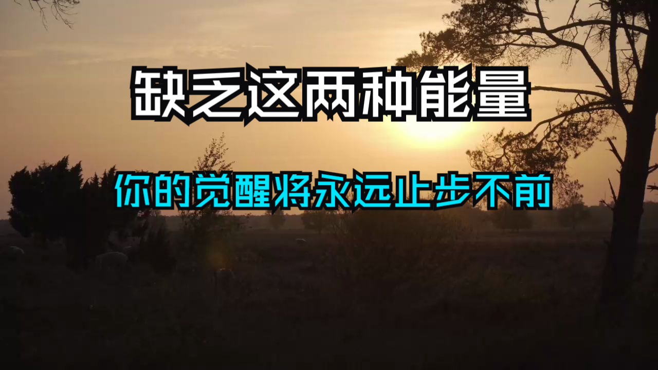 如果这两种能量缺乏，你的觉醒将永远止步不前。无论你如何追寻内心的真谛，如果没有足够的内在能量支持，觉醒始终只是一个遥不可及的梦想。
