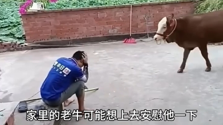 真是高手在民间