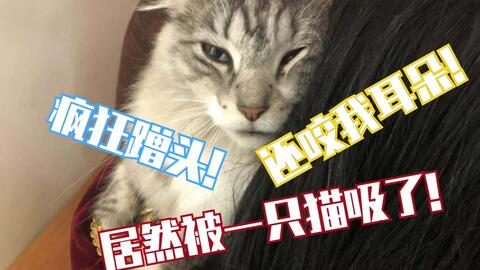 d017b60efe5945685c50f2088a8184e05559e5a0.jpg@480w_270h_1c