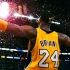 【Kobe/科比纪念剪辑】The Leader of Lakers