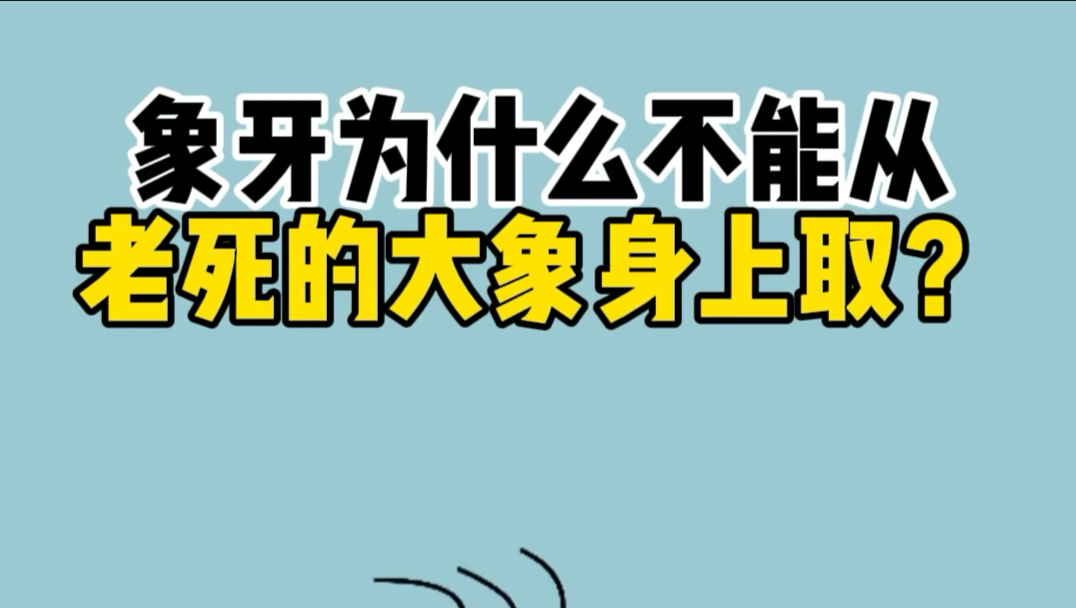 为什么象牙不能从老死的大象身上取？
