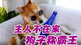 d0789d84d7cdc883da47703f6fc692f03a15b370.jpg@280w_158h_1c_100q.jpg