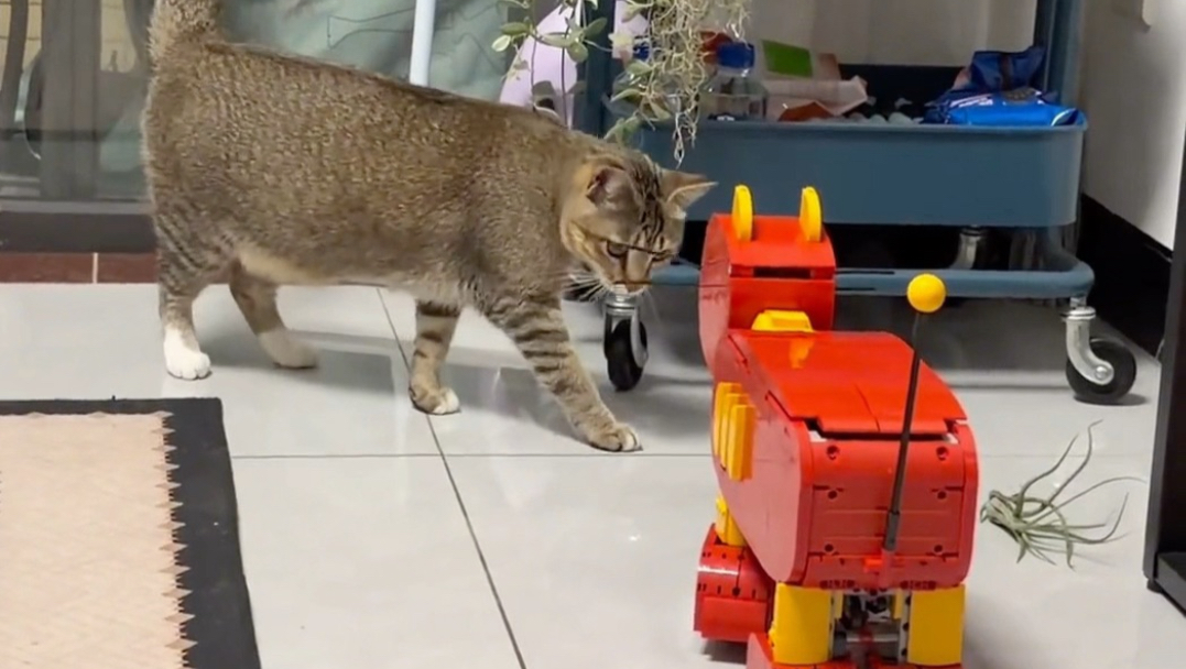 猫和老鼠致敬过此段