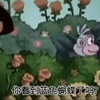 盲人朵拉和她的瞎猴子