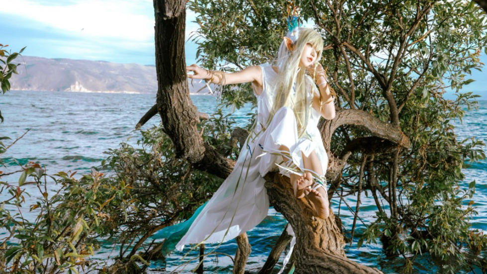 这树上怎么长缪缪了