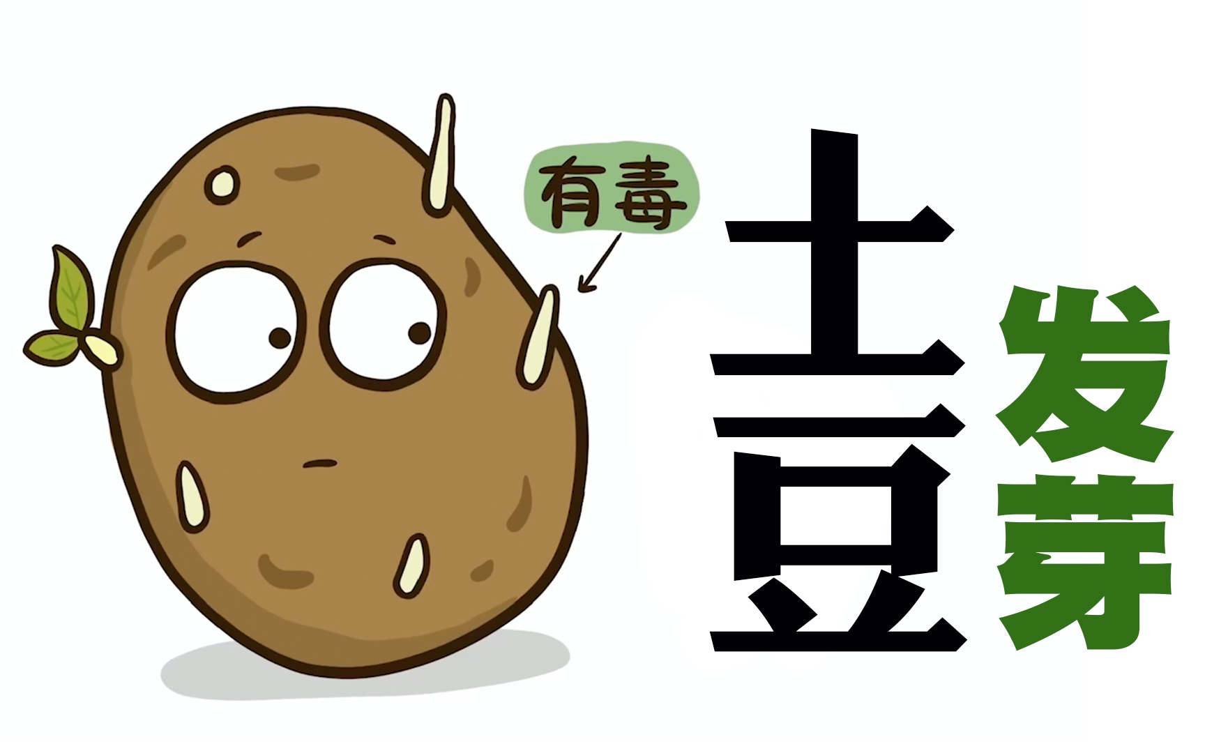 【科普】吃了发芽的土豆为什么会中毒？