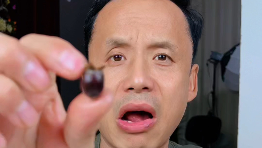 挑战桃金娘野果，还想看我挑战啥？