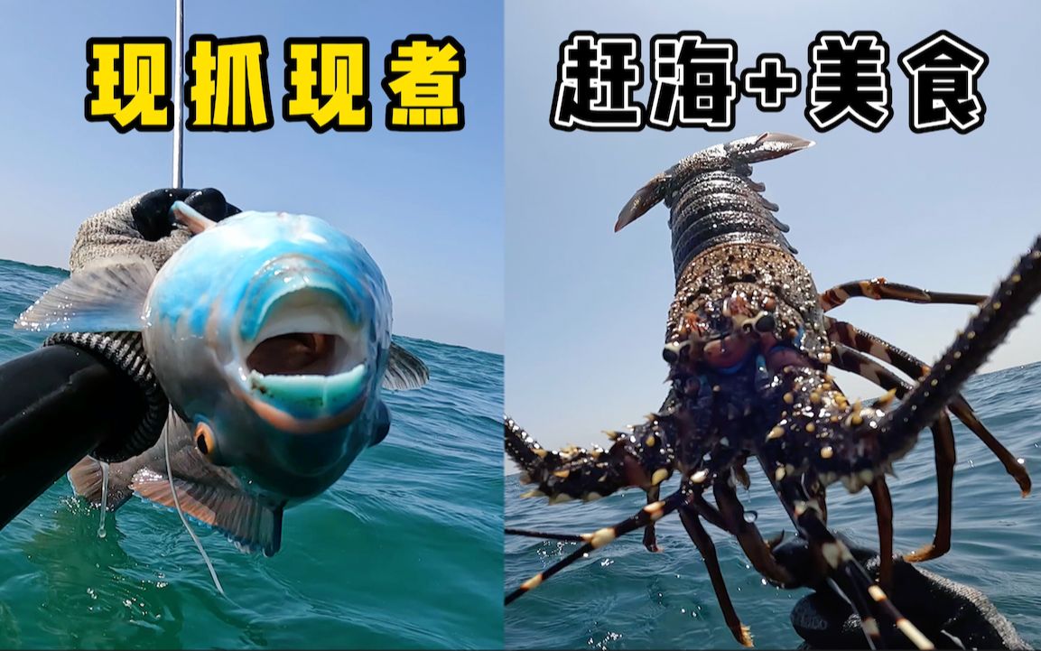 《环球探海记》阿曼 第47天：今天潜水抓龙虾时，竟然被巨型海鳗吓得全身发抖
